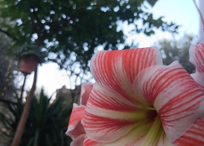 Appartement The Spring House *